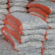 White coral stone garden stone/ decorative stone/ 1 sack 8 KG