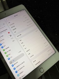 Apple iPad mini (第5代) Wi-Fi +LTE 256gb