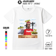 PHO ANH HAI Children's T-shirt, Thai Poly, Large Sizes from 7-95kg, Many Colors, Large Size Message 