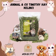 Animal & Co Timothy Hay 2nd Cut 500 grams – Quality Healthy Food for Rabbits & Small Animals