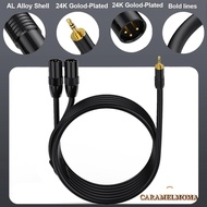 CARAMELOMA Dual 3pin XLR Male to 1/8in TRS, 0.5m / 1.64ft Plug and Play Stereo Y Splitter Cable, Con