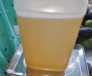 Minyak goreng jerigen Curah