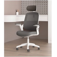 Sheldon Premium Ergonomic Comfortable High Back Office/Meeting Room/Study Professional Chair 1223BC-Grey