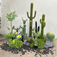 Column Potted Plant Stick Cactus Cactus Plant Bonsai Simulation Cactus Cactus Home Sand Floor Potted