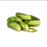 Repack Isi 7 Biji - Benih bibit Timun Lalap Baby Manis Renyah