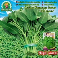 150 Seeds Big Leaf Water Spinach Seeds for Planting Vegetables Chinese Upland Kangkong Seeds Water S
