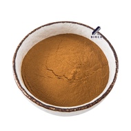 Guarana Powder Extract / Serbuk Ekstrak Guarana - Food Grade -  Supplement / Energy / Weight Control