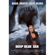 DVD Cassette D3EP BLUE 5EA (1999)