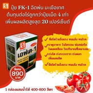 ปุ๋ย FK-1 ฉีดพ่น มะเขือเทศ ผลใหญ่ ดกเต็มต้น ต้นทุนต่อไร่ถูกกว่าปุ๋ยเม็ด 4 เท่า เพิ่มผลผลิตสูงสุด 20 