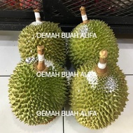 Durian Musang King Utuh/Durian Sultan Malaysia Asli terlaris