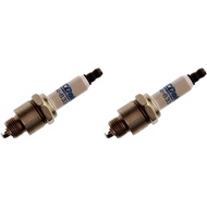 ACDelco Gold 41-833 Double Platinum Spark Plug (Pack of 2)