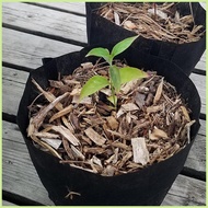 Grow Bags 0.5 Gallon 50 Pieces Breathable Drainage Non-Woven Fabric Gardening Plant Grow Bag for Fru