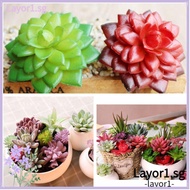LAYOR Fake Plant Outdoor DIY Garden Miniature Cactus