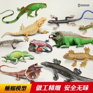 Simulation Lizard Toy Reptile Model Chameleon Komodo Lizard Iguana Gecko Children's Ornaments Capsul