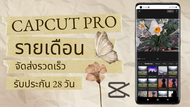 Capcut Pro mobile pc private