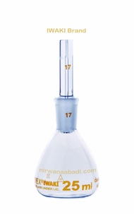Iwaki Picno-10M Piknometer 10Ml | Pycnometer