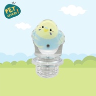 Bird Budgie Acrylic Food Bowl | Acrylic Bird Feeder and Drinker