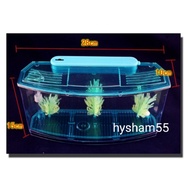 bekas akuarium ikan laga betta aquarium ikan laga ada lampu betta house