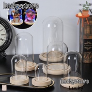 LUCKY Glass cloche Home Decor Fairy Lights Glass Vase Jar Transparent Bottle Flower Storage box