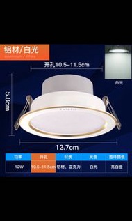全新 LED亮白金筒燈 精裝鋁制 12W亮白金/正白光 10.5-11.5cm