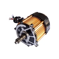 Brushless Dc Motor Sine Wave Bldc Motor 48V 1000W Motor Electric Tri
