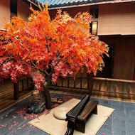 Simulation Maple Fake Maple Shopping Mall Hotel Green Plant Fake Tree Decoration Wishing Tree Indoor