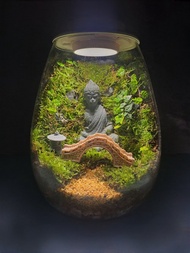 【苔療癒】豪華生態瓶DIY材料包/母親節禮物