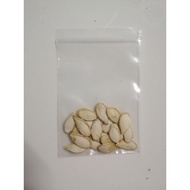 Benih Labu Manis 868 | Buah yg digemari Pemborong