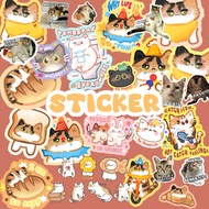 Cat sticker anabul jaklingko cat triple sticker pack memes meme cats cute cat