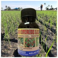 [ORIGINAL] 250ML AGR CYPERCIDE 5.5EC cypermethrine CYPERIN 550, KENCIS, CERTRIN 550, CYPERSING 550, 