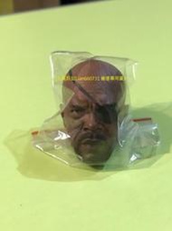 【九尾妖狐】[九尾妖狐] Hot Toys MMS169 復仇者聯盟 尼克福瑞 NICK FURY 神盾局長 頭雕 原廠