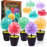 Crystal Growing Kit, STEM Projects Science Kits for Kids Age 8-12, Girls Toys 8-10 Years Old, Crafts