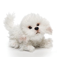 Nat and Jules Playful Small Bichon Frise Dog Children's Plush Stuffed Animal Toy