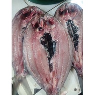 FRESH BANGUS 1KG FREE BONELESS