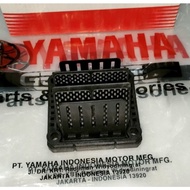 RACING MEMBRANE INTEK MANIPOL MANIPUL CARBON CARBON RXK RX KING RXZ RXS PNP VESPA