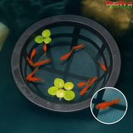 VVDZA Fish Fry Cage, Reusable Floating Aquarium Filters,  Large Capacity Fish Fry Isolation Box For 