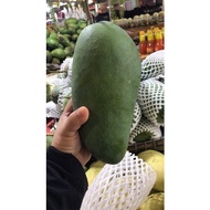 MANGGA LEMAK TAIWAN MUDA (Rasa macam mangga epal)1 KILO++