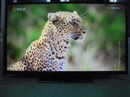 50吋LED液晶電視 聯網功能 ( VIZIO  V50E ) 附全新遙控器