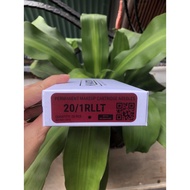 Kwadron PMU Cosmetic Tattoo Needle Pink 1RL 0.20