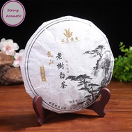 STRO Portable Easels Plate Holders Display Stand Stander Picture Frame Photo Tools Display Dish Rack