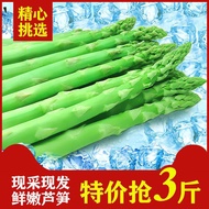 asparagus seed/anak pokok asparagus/asparagus fern/asparagus setaceus/ Fresh asparagus is now produced by whitening Gree