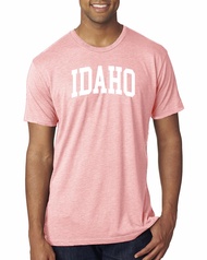 Wild Bobby State of Idaho College Style Fashion T-Shirt