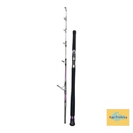 ✨✨✨ATC LIMITED EDITION ASTROGRAPH SPINNING JIGGING ROD✨✨✨