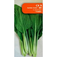 Sawi Gergasi CX 9 Jumbo Green F1 Crop Power Seed Repack 5 Gm