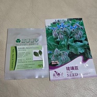 羽衣甘藍種子 琉璃苣種子