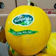Buah Melon Golden Sunpride Kwalitas Super Asli