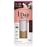 CIELO 1 Day  Gray Hair Consealer Dark Brown  Hair  　Direct from Japan