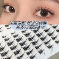 10 Row Large CapacityLazy White Moonlight eyelashes false eyelashes Supernatural Novice Self-Adhesive Single Cluster Grafting V Lower eyelashes Natural false eyelashes lazy trilogy 3.1