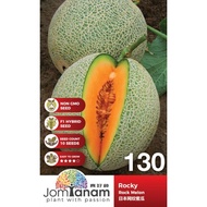 Augustfame - JomTanam Biji Benih Rock Melon – Rocky - 10seed (130)