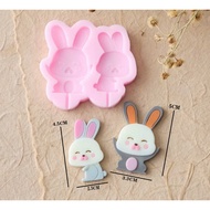 Bundle of 2 little bunnies